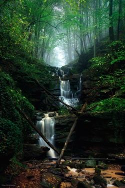 cuiledhwenofthegreenforest:   Fairy Falls by Kilian Schönberger  