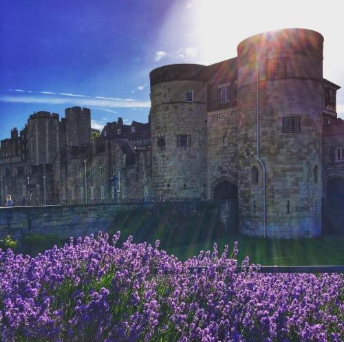 Our favourite photos of the week! This #PalacePhoto collection includes a stunning sunset behind Byw