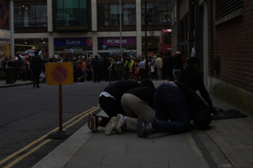 Pro Palestine ProtestPhotographed July 2014