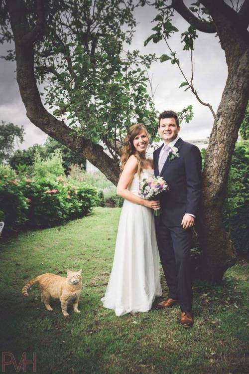 lilyvonpseudonym: awwww-cute: Marriage photobomb by our ever present cat. (Source: ift.tt/2oo