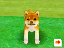 Some Nintendog Pups
