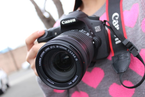 h0lllister:  preachnikon:  quality version of my cousin’s camera:) ig: @scarletstagram  oo i have th