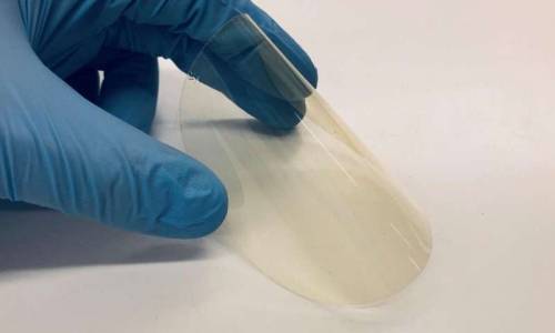 A bioplastic that protects against UV radiationResearchers at the University of Oulu&rsquo;s Res