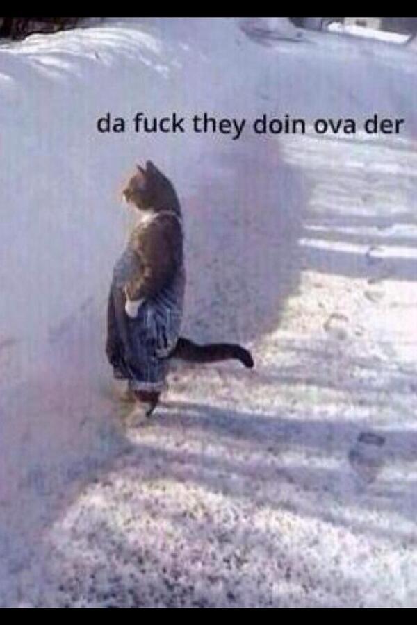 fitness-humor:  When I see people curling in the squat rack