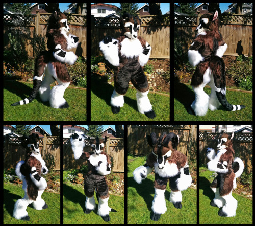 shagpoke:  We just finished up this super cute goat for Shinkei-Shinto!  Head is built off of a