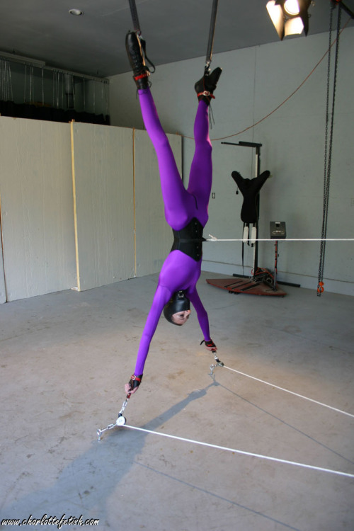 Bound to please