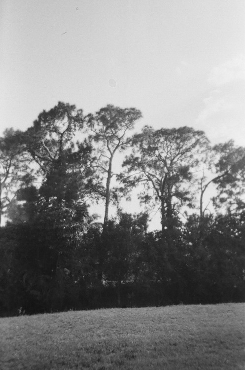 Boca Raton, FloridaShot on 35mm Ilford 400 Black and White Film with a Disposable Camera
