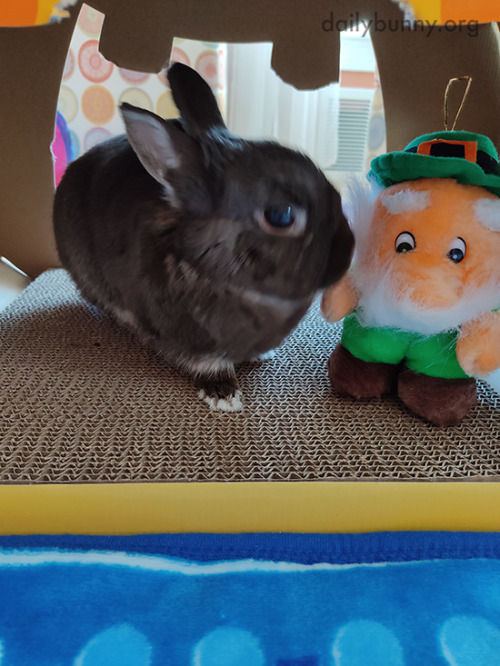 Bunny Interrogates the Leprechaun He’s Caught as to the Precise Location of the Pot of Golden 