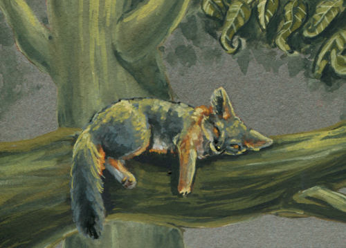 While I Was At It, I Just Painted One Fox On Each Piece Of Toned Paper I Had Somewhere In My Drawers.