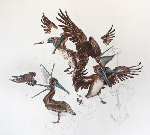 mural in progress ✊ respect the birds.