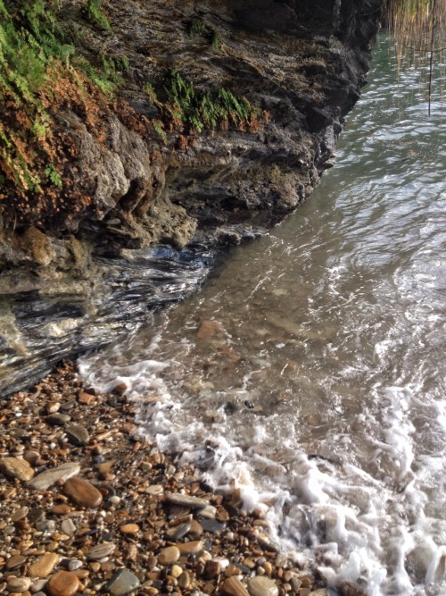 culturallywild:  Cyril Bay, Trinidad. Copyright 2016 Troy De Chi. All rights reserved.   ❁❁ tropical