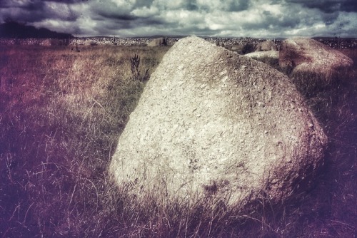 Gamelands Stone Circle, Cumbria, 11.8.18.A sizeable recumbent circle on the edge of farmed land with