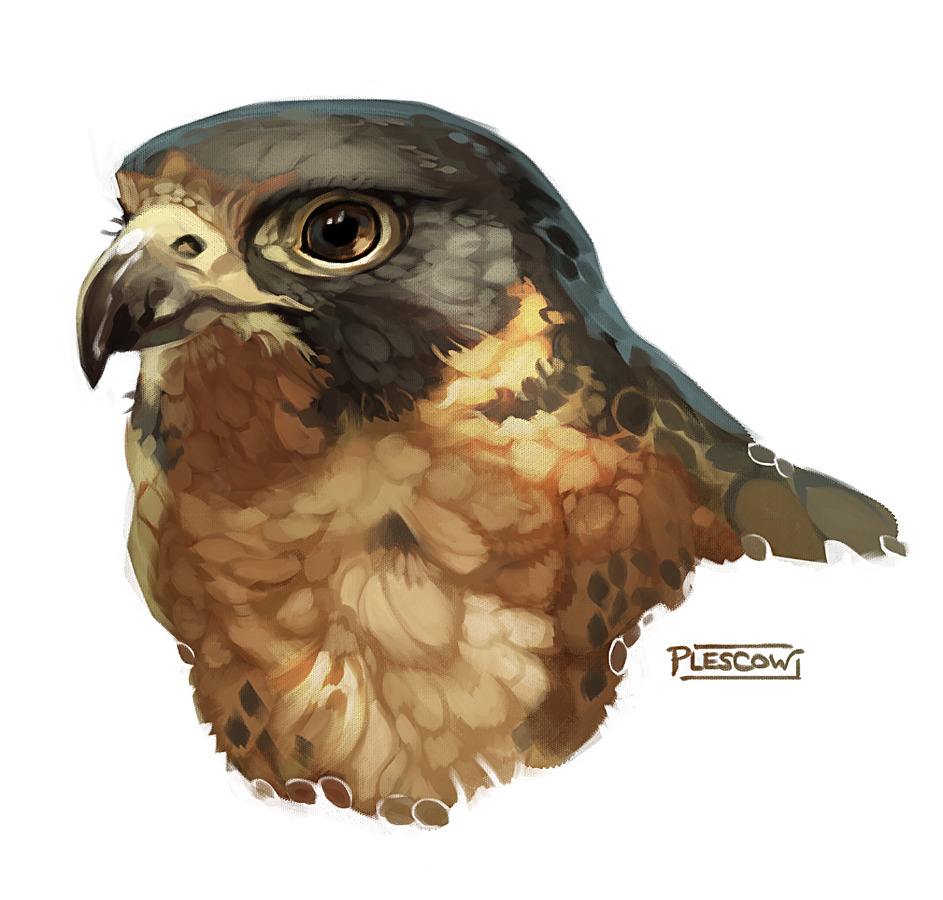 kristenplescow:  (F5 for some edits… got a great critique on FA!) I need to do