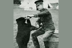 mentalflossr:  During World War I, a Canadian soldier named Harry Colebourn made a pet of a black bear cub he bought from a hunter for ฤ. Named Winnipeg—or “Winnie” for short—the bear became his troop’s mascot and later a resident of the London