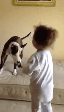Porn Pics gifsboom:  LITTLE GIRLS TEACHING DOG TO JUMP