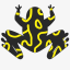 realblackfrog