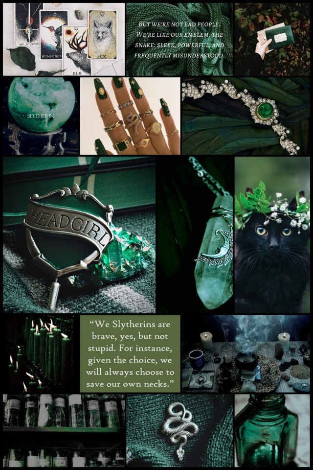 Out of Order — Slytherin/Horned Serpent/ENTP/Aquarius Aesthetic...