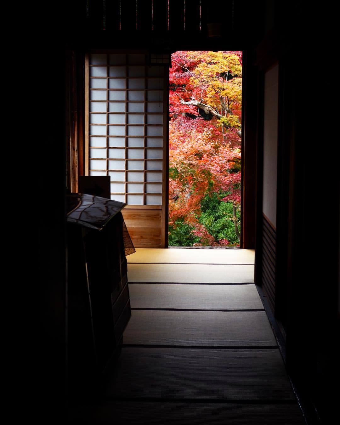 明かりがさしているよ 川越喜多院 喜多院 紅葉 川越大師 喜多院