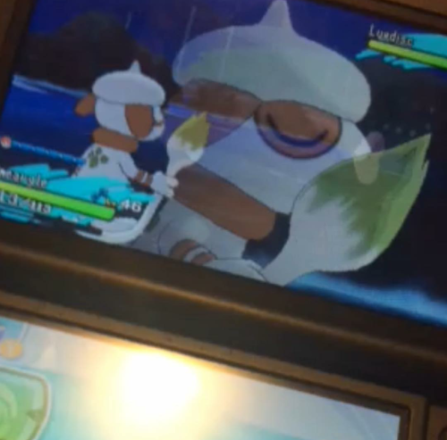 nightdazes:I WAS JUST TRYING TO TAKE A PICTURE OF A SHINY AND SMEARGLE WANTED TO HAVE A MOMENT