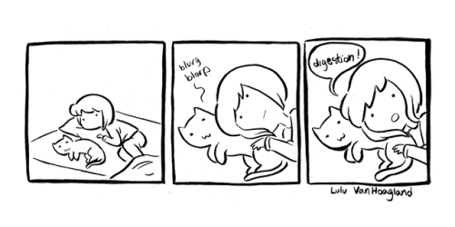 ancientreader:ancientreader:indifferentsocks:Made it to 10 Boober comics!Have a big post of kitties.