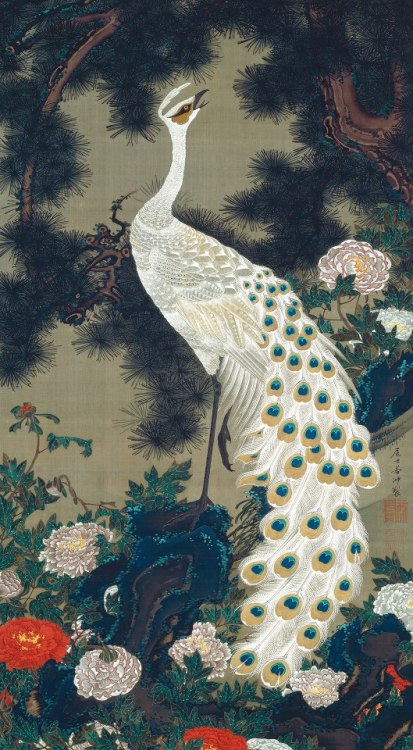 trulyvincent:Itō Jakuchū (Japanese, 1716-1800)