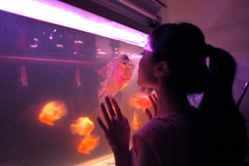 mikchii:  m尧 。 on Flickr. 