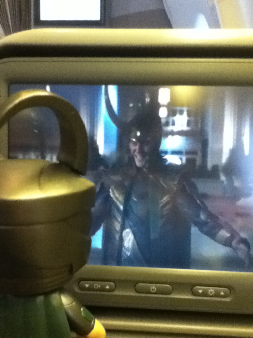 Loki watches himself while flying