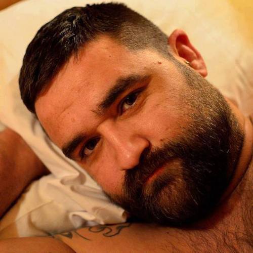 hotbears:  http://hotbears.tumblr.com/