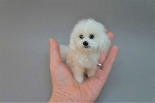 A needle felted Maltipoo.  Have a great weekend!