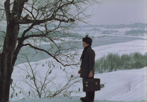 raysofcinema:  THE MIRROR (1975) Directed by Andrei Tarkovsky Cinematography by Georgi Rerberg 