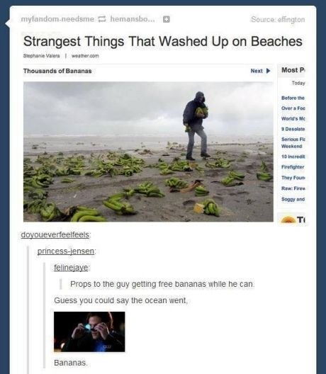 fenchurchdent:  itsstuckyinmyhead:  Tumblr Puns   These kind of posts are why I’m on this site.  