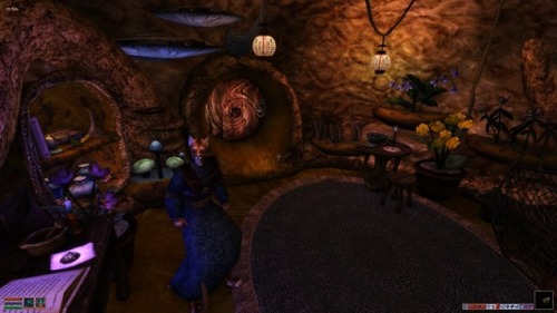 pondwitch:morrowind nerds have spent fifteen adult photos