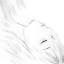 silenthillhole
