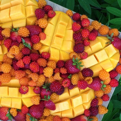 eat-to-thrive:  Good morning everyone!  I picked some wild salmon berries this morning, then cut up 3 ataulfo mangos and a few strawberries for breakfast.  Salmon berries, which taste nothing like the fish by the way, are native to the pacific north west