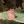 comfytaire:re: running up that hill let&rsquo;s all remember that chris fleming