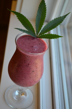 incredible-kush:  thc smoothie