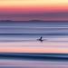 danewsea:daSunrise