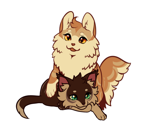 Just another warrior cat design blog — Ashfur