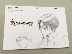 A good friend of mine in Japan sent a surprise gift that has been on my wishlist for a while - the print of Asano Kyoji’s Levi + Teacup sketch from his 2014 exhibition!THANK YOU SO MUCH MIDORI &lt;3  ＼（Ｔ∇Ｔ）／