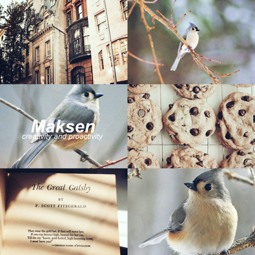 dximonions:Maksen, tufted titmouse. Tufted titmouse people are loyal, close-bonding individuals. The