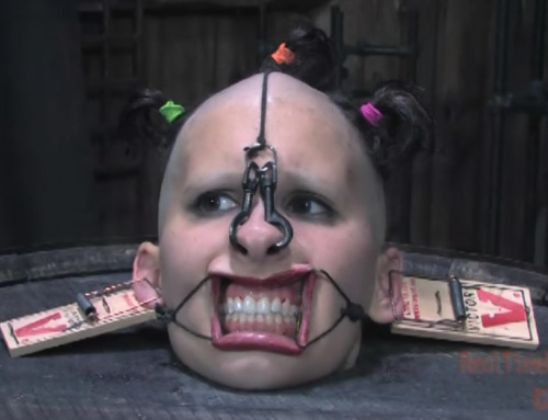 whorehumiliator:  Seeing a dumb cunt stripped of her beauty and dignity is truly wonderful.  