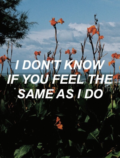 top-lyrics: do i wanna know? // arctic monkeys