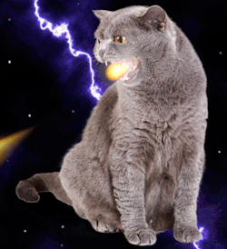 Justacatblog:  It´s Friday 