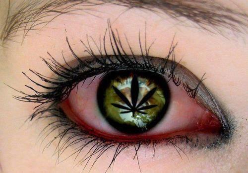 Hempatria