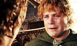 thorinds:  It is time Frodo.  