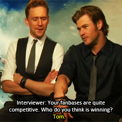 tomche // previously thedailylaughs