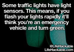 furanneru:  superchalmers:  lifehackable:  More Daily Life Hacks Here  dont stop at stop signs, dont even stop at red lights fuck it LIFEHACK theres no cars on the sidewalk, just drive on the sidewalk as fast as you can and bypass all traffic   