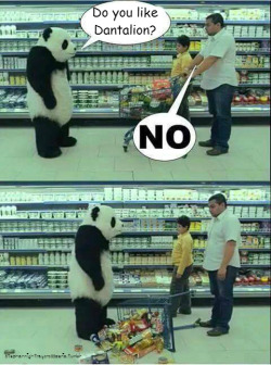 stephannightraycrosszeria:  Never say no to Panda xD!!! 