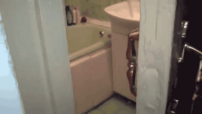 lalogicadelgato:  Already finish mere cat? By: Cat Logic 