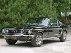 piratetreasure:  1968 ford mustang gt fastback